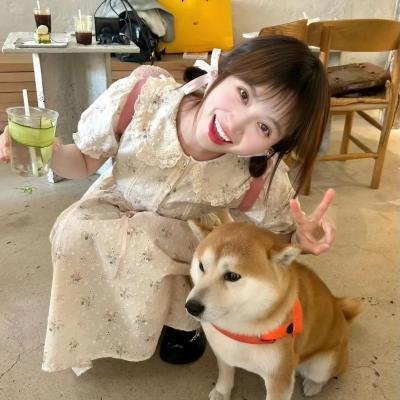 群芳灿烂
